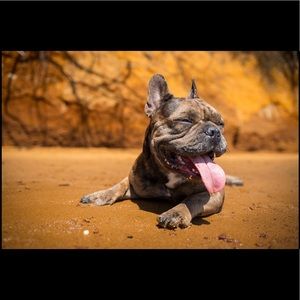 Meet your Posher, Eloina